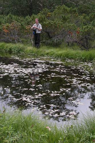 Stefan at Swamp